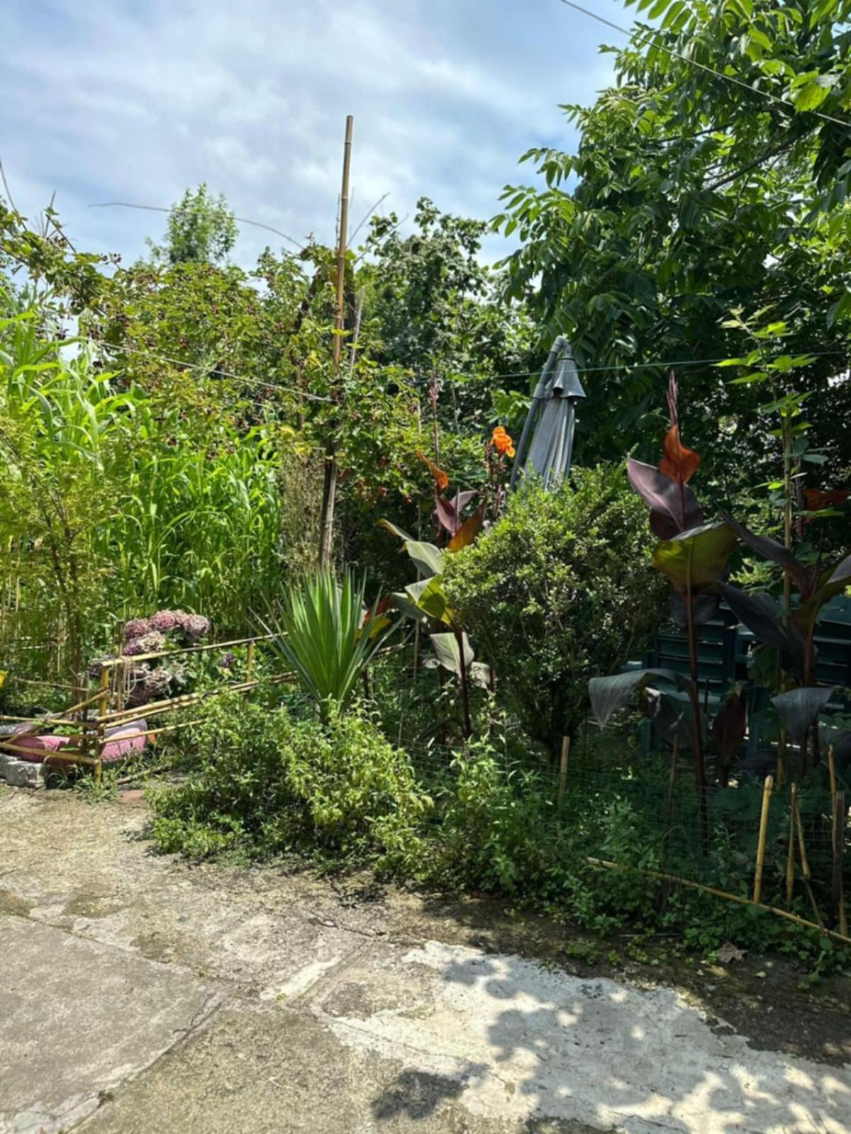 Guest House Barbi Batumi Luaran gambar